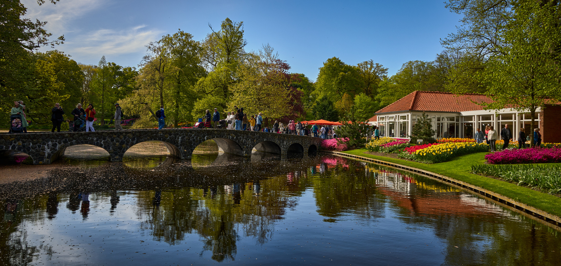 Кeukenhof... цветы тюльпаны парк Кёкенхоф Кeukenhof