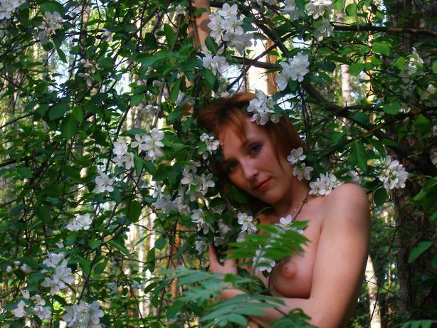 Цветущая яблоня. Девушка, ню, весна, лес, яблоня.