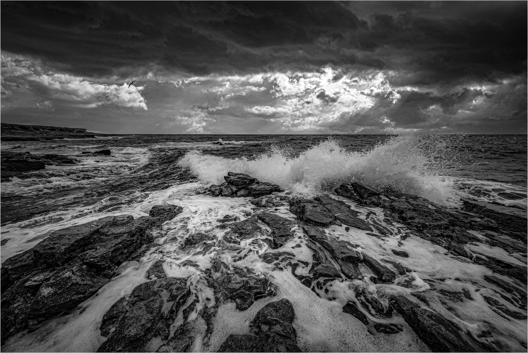 Черное море природа
