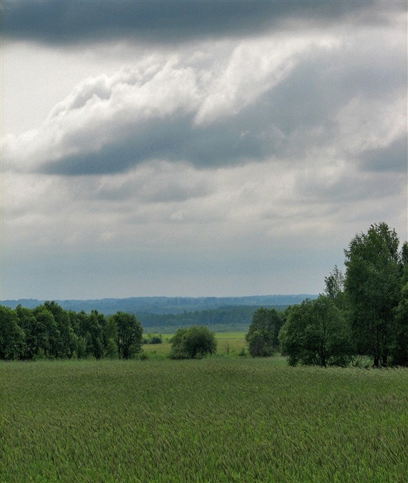 Перед грозой 