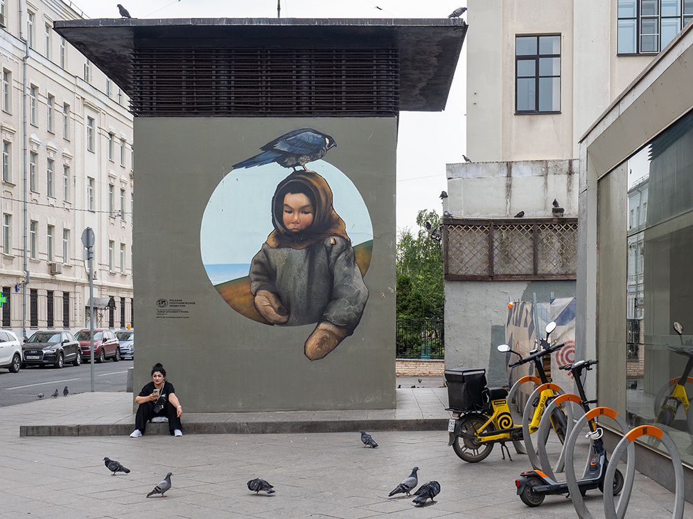 Птицы 