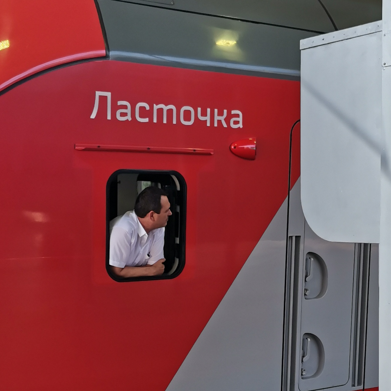Ласточка 