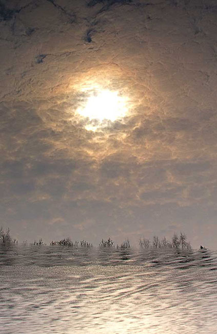 Мир перевернулся 