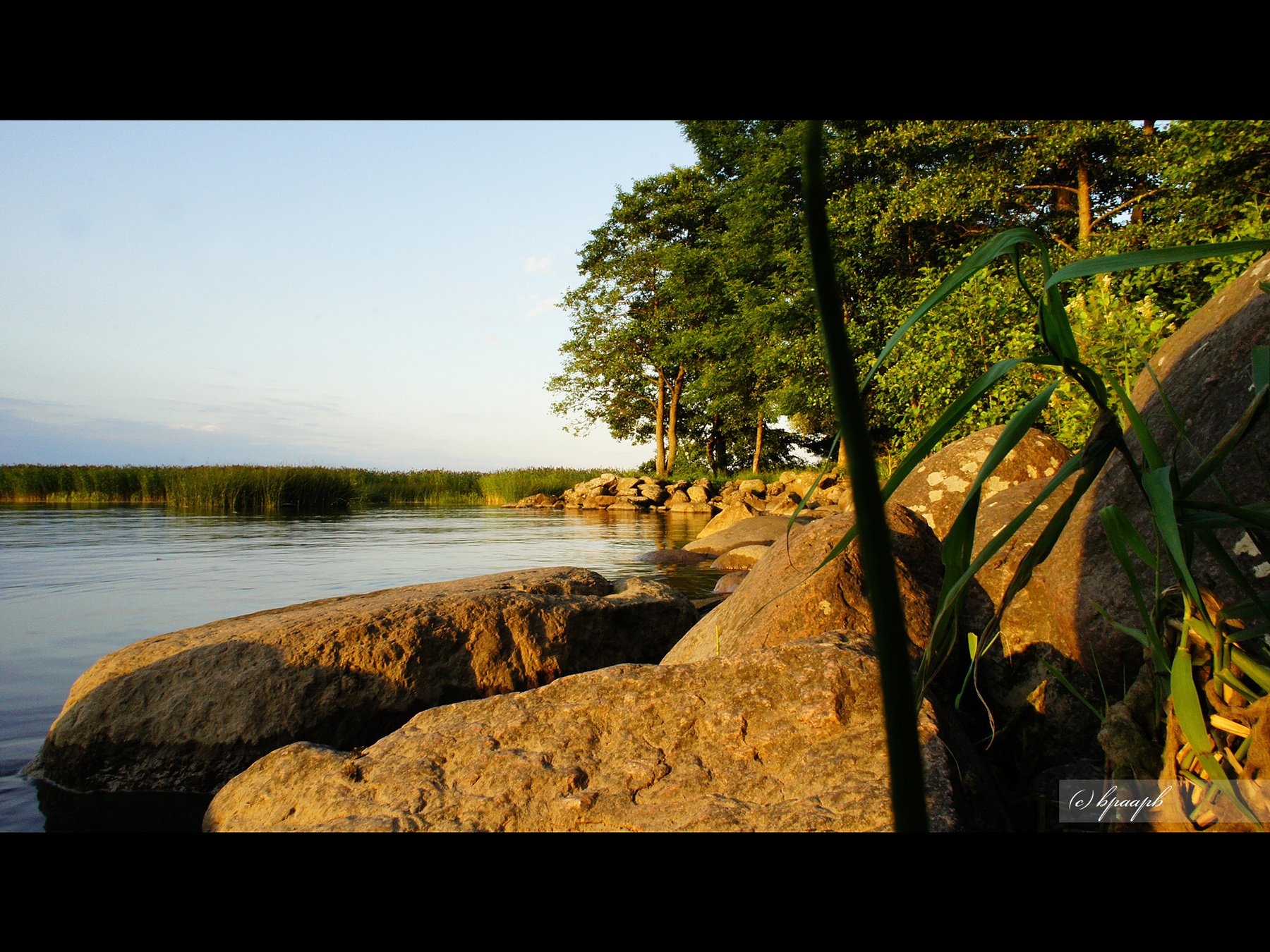 Finskij Bay in dacha Benua (Benois)(Финский залив у дачи Бенуа)(Finskiy Zaliv)(Gulf of Finland)  BPAAPB RUSSIA "Sony NEX" landscape пейзаж "Gulf of Finland" "Golfe de Finlande" "Suomenlahden Suomi" "Finskiy Zaliv" "Финский залив" Benua Benois Бенуа