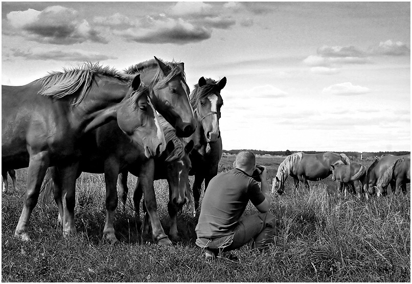 Фотоконкурса \"Сфотографируй лошадь\" жюри комисия .... лошадь,фотограф,фотоконкурс,сесия