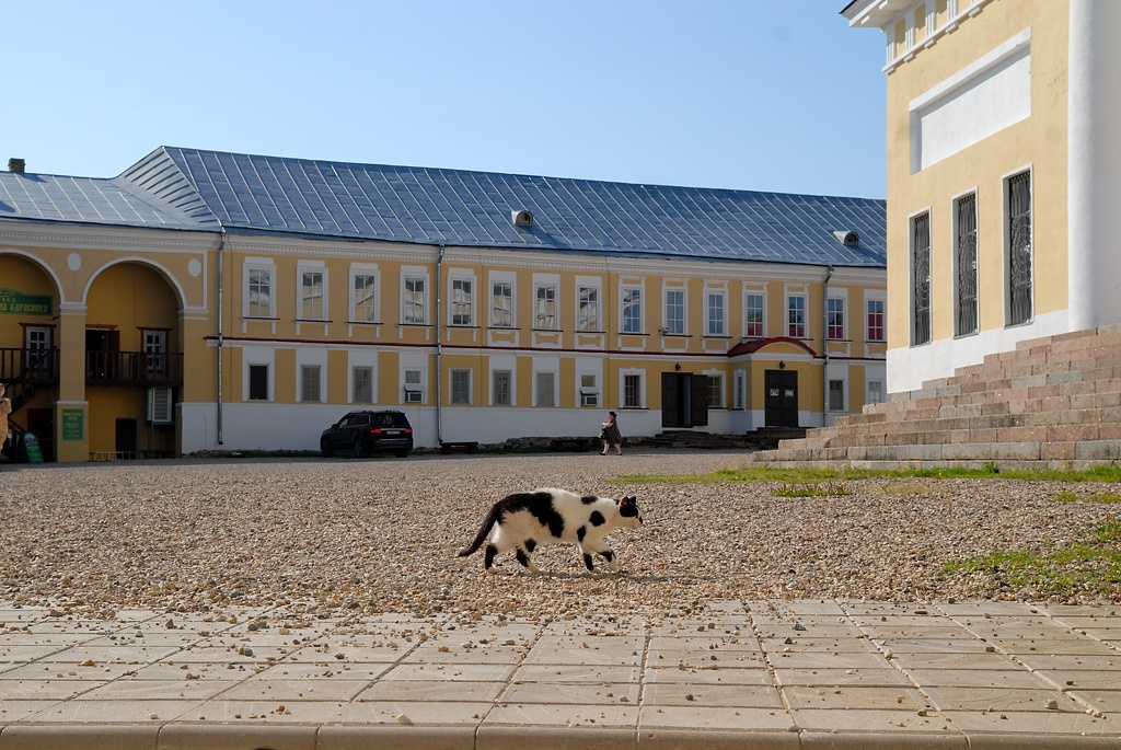 *** монастырь кот площадь