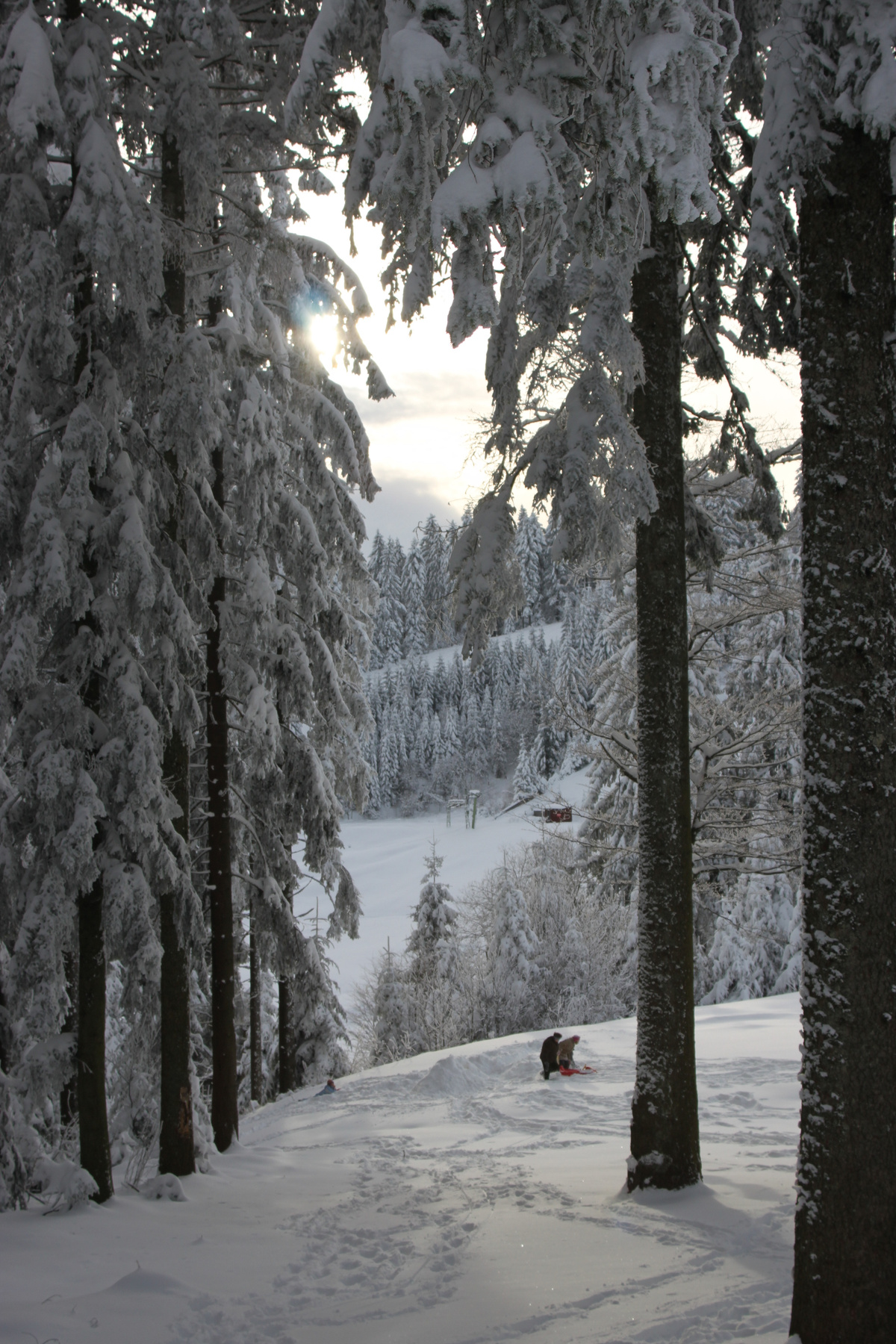 Зима  снег, зима, горы, лес, Schwarzwald 