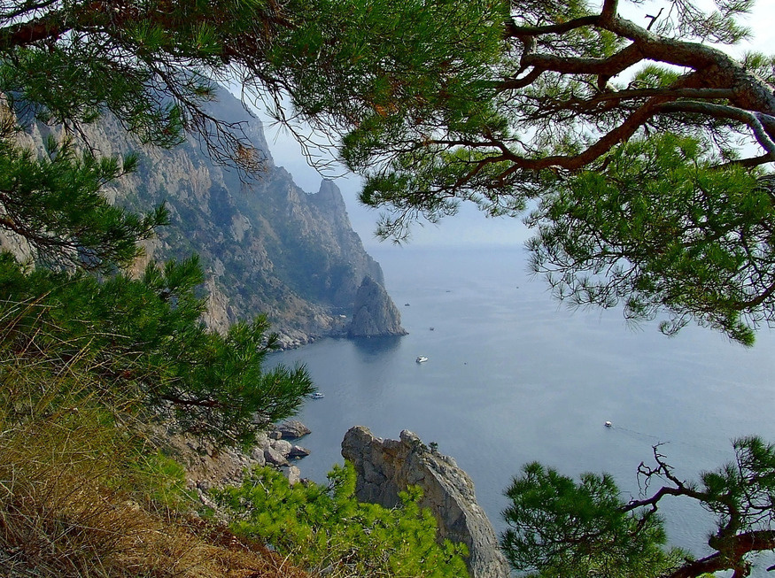 Крым. У мыса Айя Крым, Севастополь, Балаклава, Айя, море, осень, сентябрь, сосны, вечер