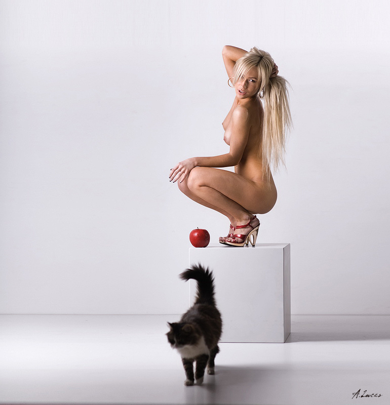 Март lucas, lucastudio
