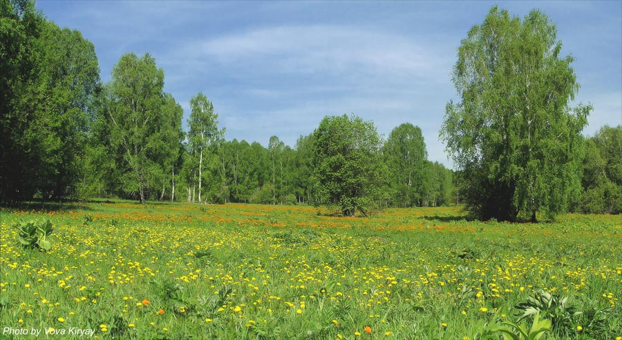 Вид с трассы М53 Россия Сибирь