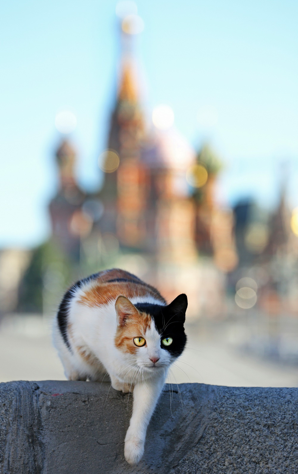 март 