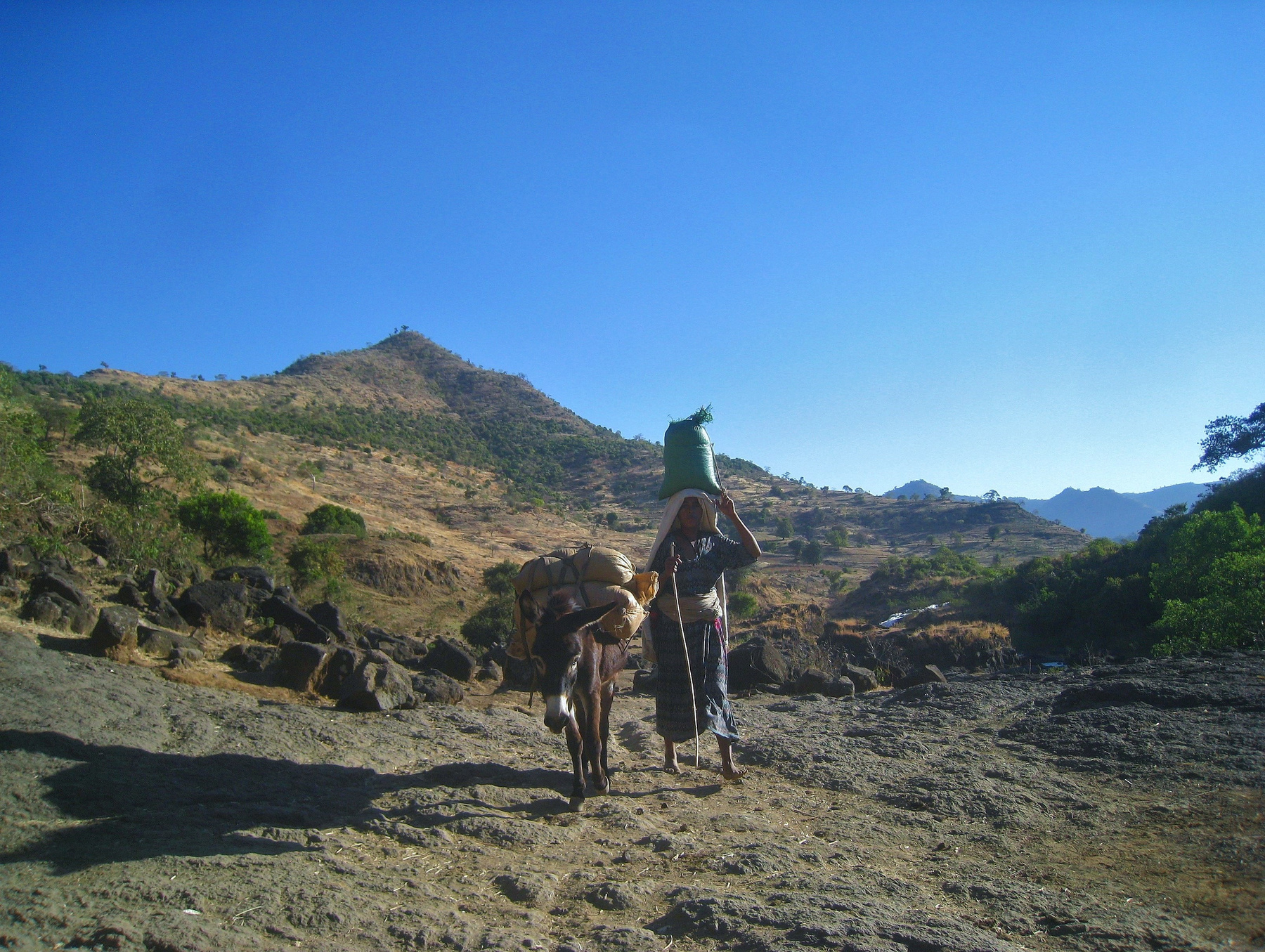 Тяжёлая женская доля. Эфиопия вулкан кратер горы скалы портрет