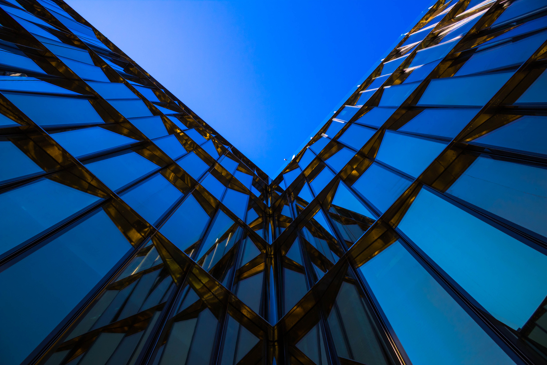"Gazprom Neft" building architecture building glass lookingup steel gazprom reflection sky sun city saintpetersburg spb piter vsco vscocam архитектура здание сталь стекло небо солнце отражение газпром город санктпетербург питер спб