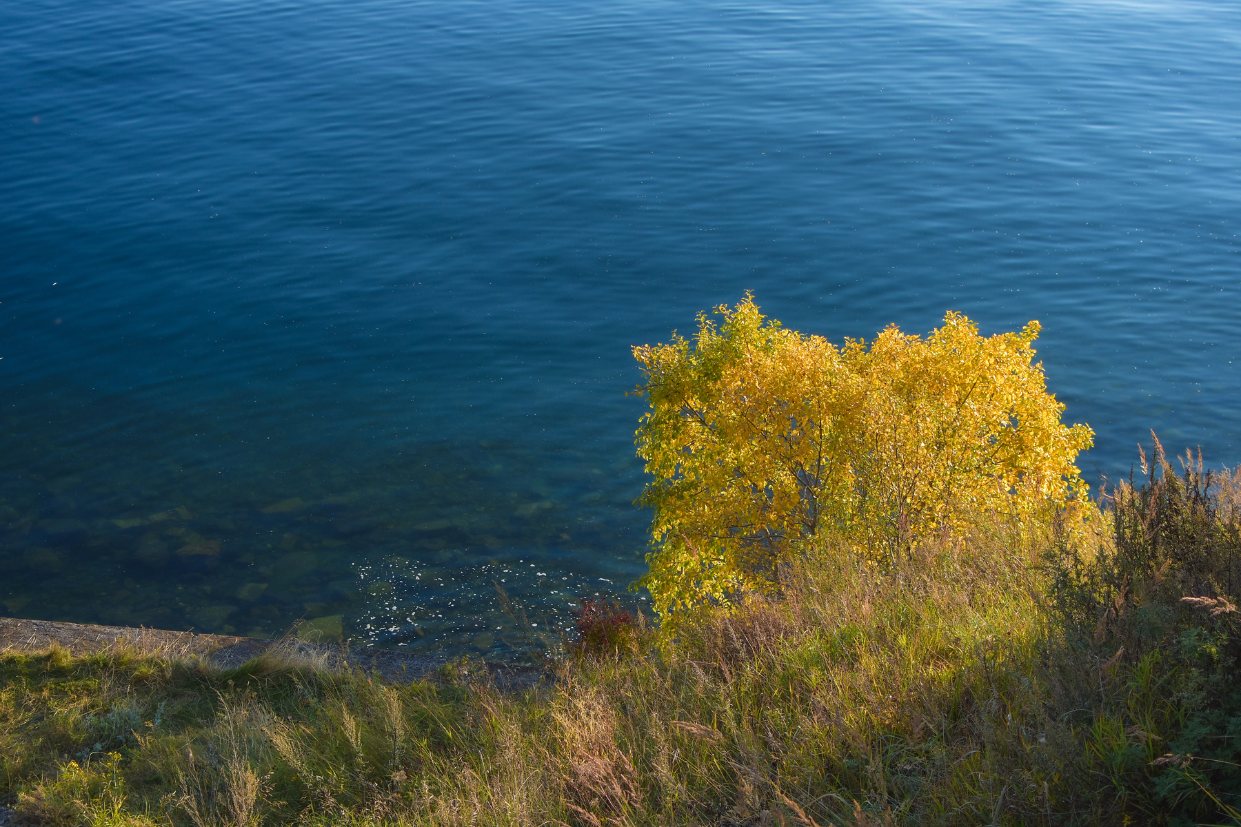 Осень у порога Байкал пейзаж baikal landscape водный озеро осень золотая