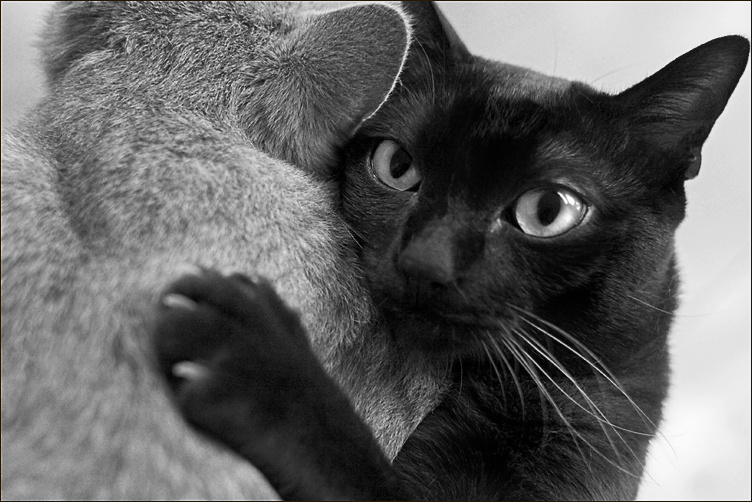 My Preciousss... 