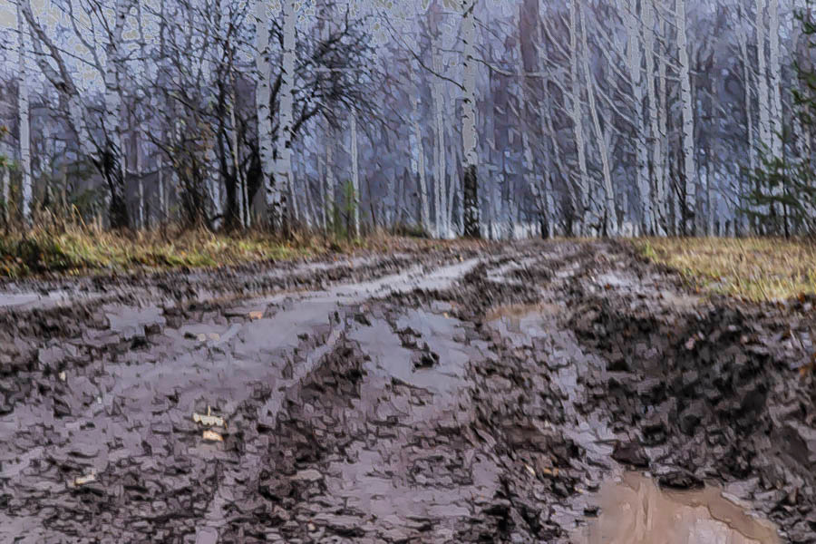 ноябрьская слякоть дорога ноябрь осень моросит вечереет