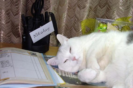 Дневник на стол! 