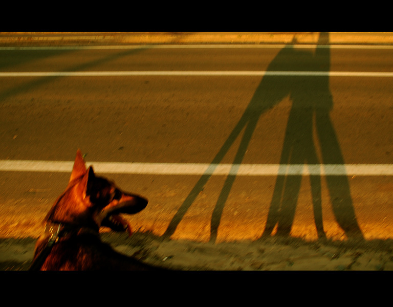cinemation highway нини