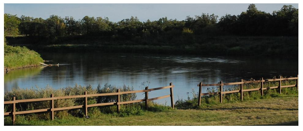 Озеро в парке Озеро, вода, парк