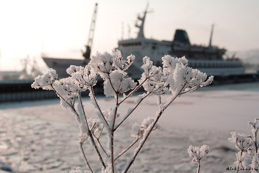 А по календарю уже весна... мурманск порт мороз иней