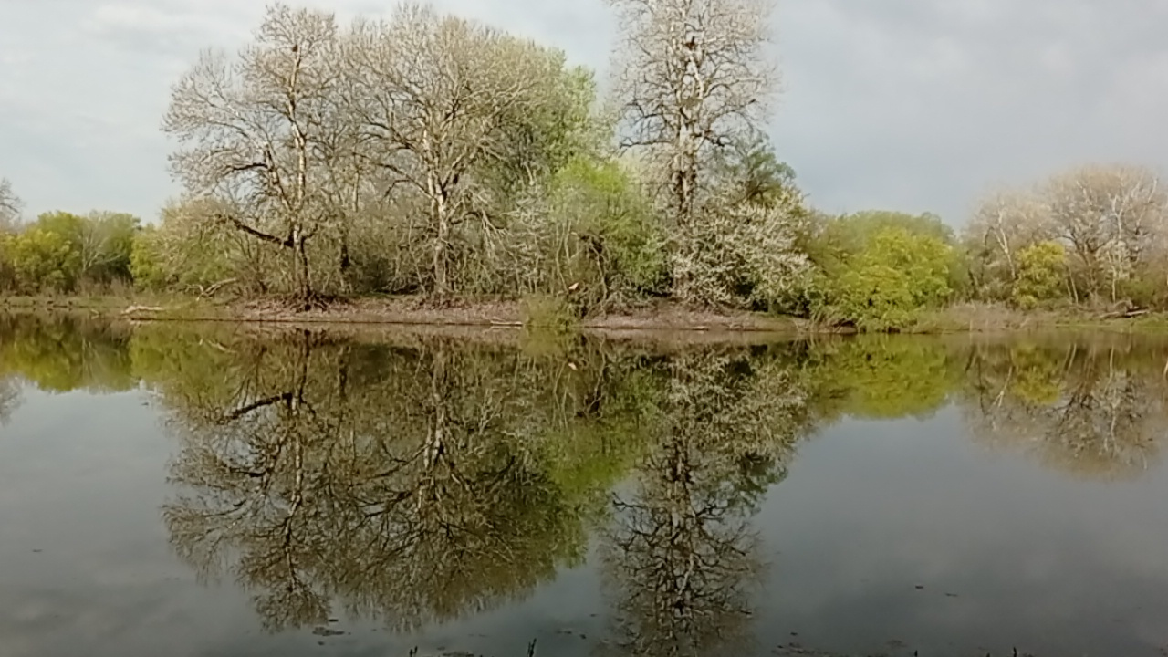 В час утренний... 