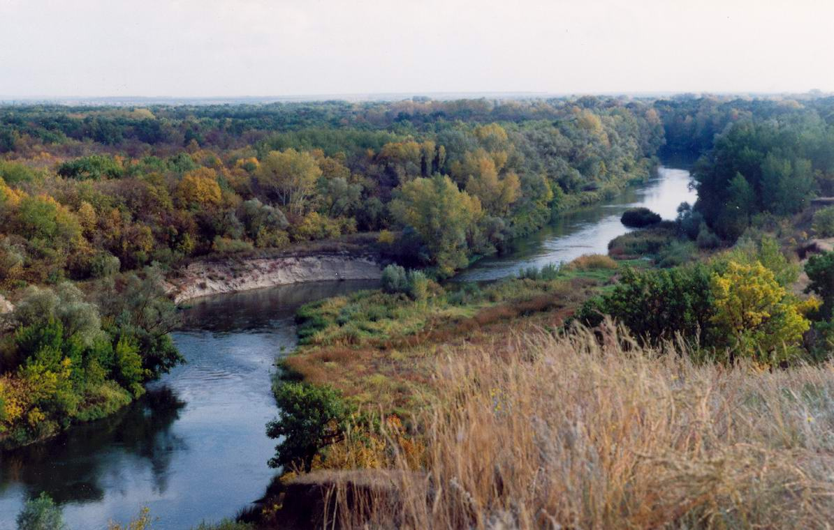 Река Медведица река