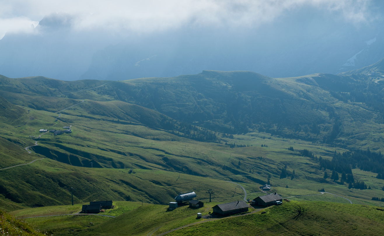 Wet and windy Field Trial Switzerland Grindelwald