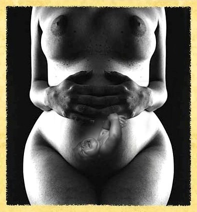 Pregnancy Pregnancy