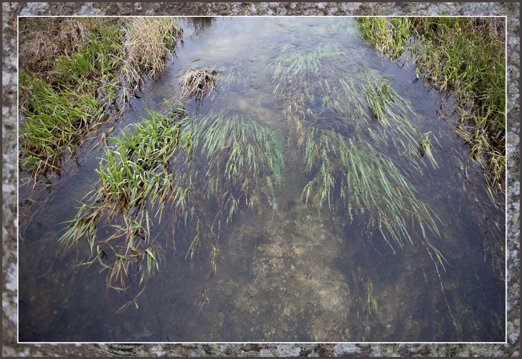River Kennet2 