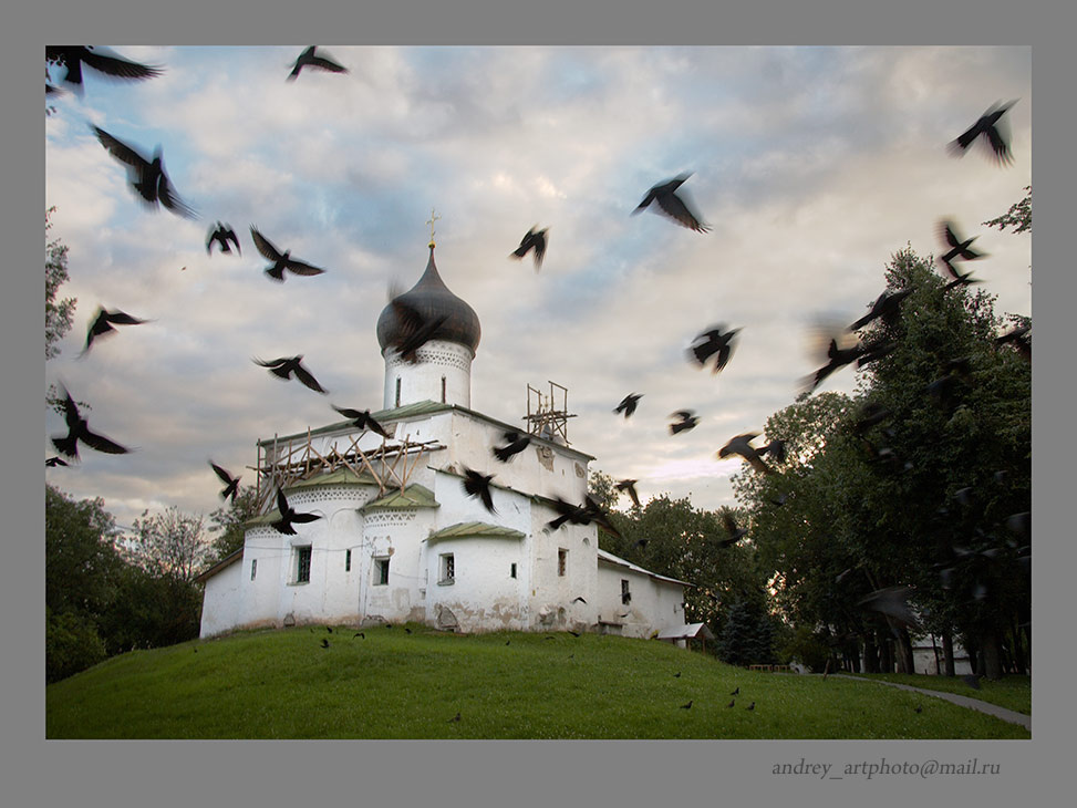 Храмы Пскова храм, грачи