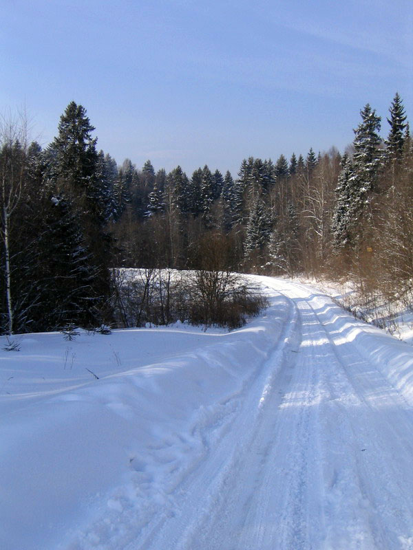 Снежная дорога Зима Дорога Снег