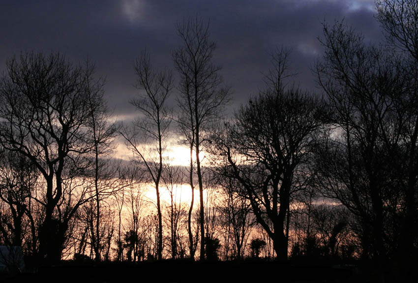 Silence Evening Park Sunset