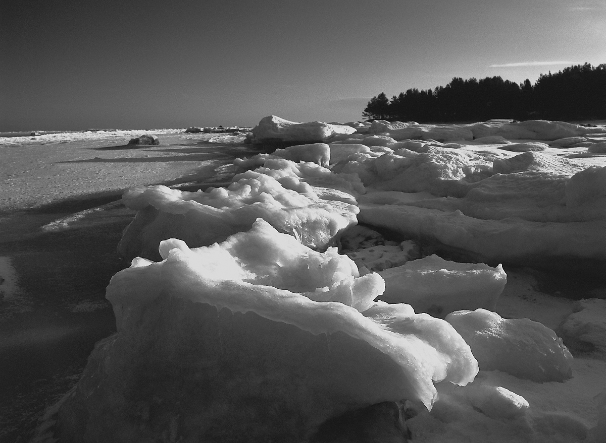 *** Mamiya-645, Rollei infrared 400