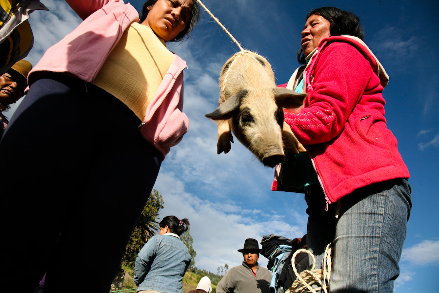 El Mercado (1) Ecuador