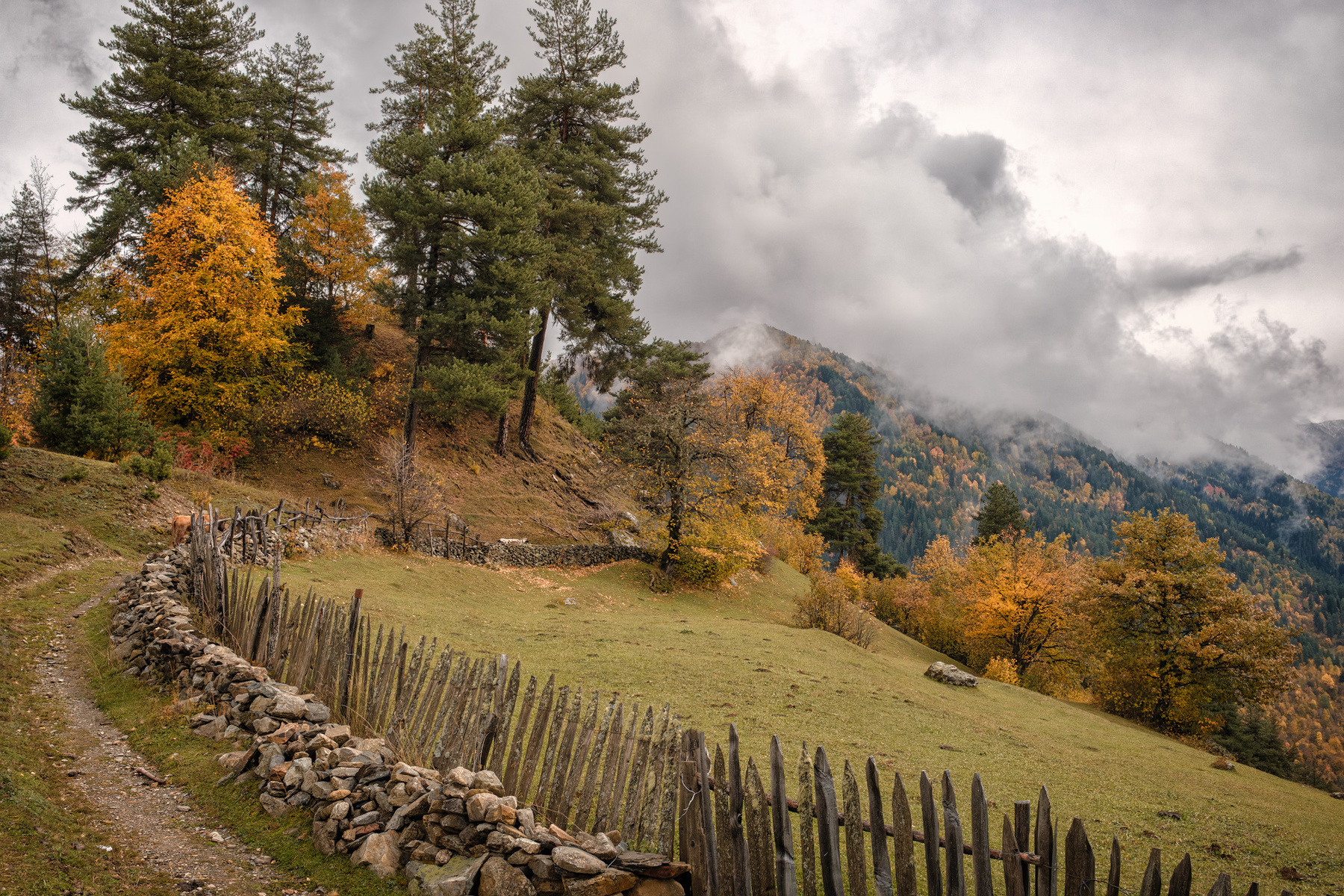 Tsvirmi Autumn svaneti tsvirmi fall autumn trees mountains clouds sky nature landscape scenery travel outdoors georgia sakartvelo chizh