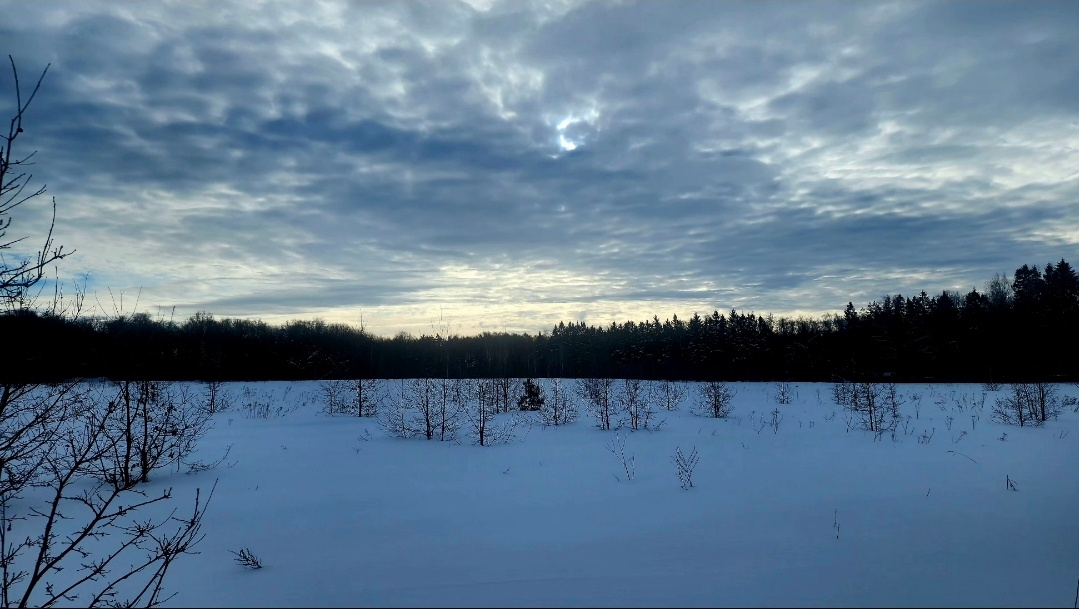 Поле 