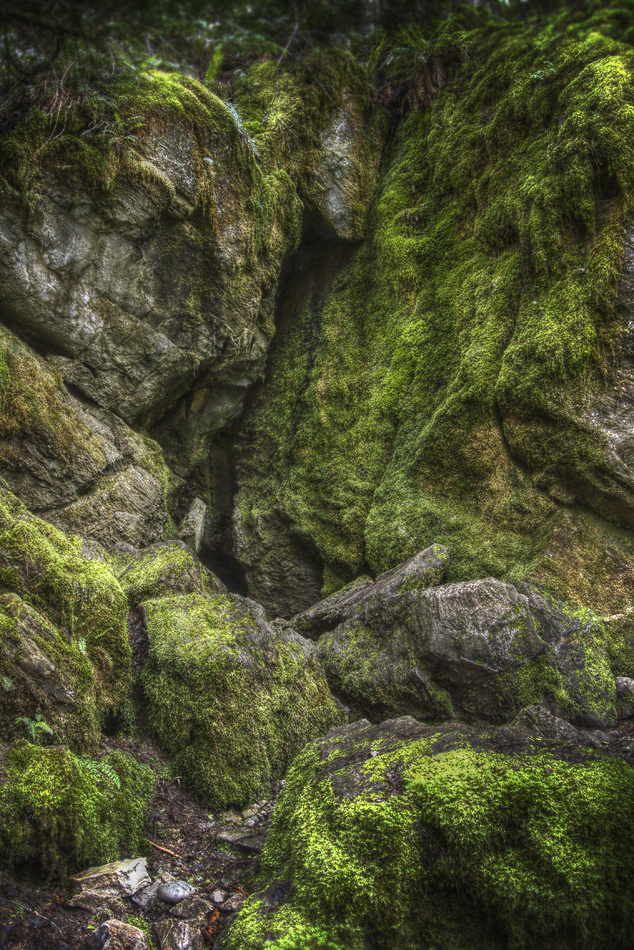 Horne Lake Caves Provincial Park 