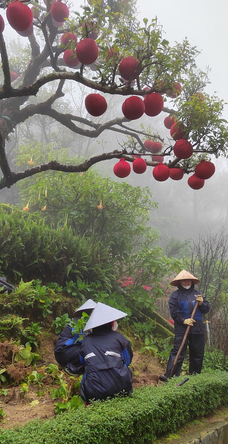 Good Morning, Vietnam! 