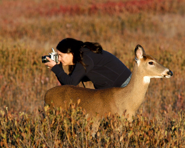 Hey! I\'m over here!!! 