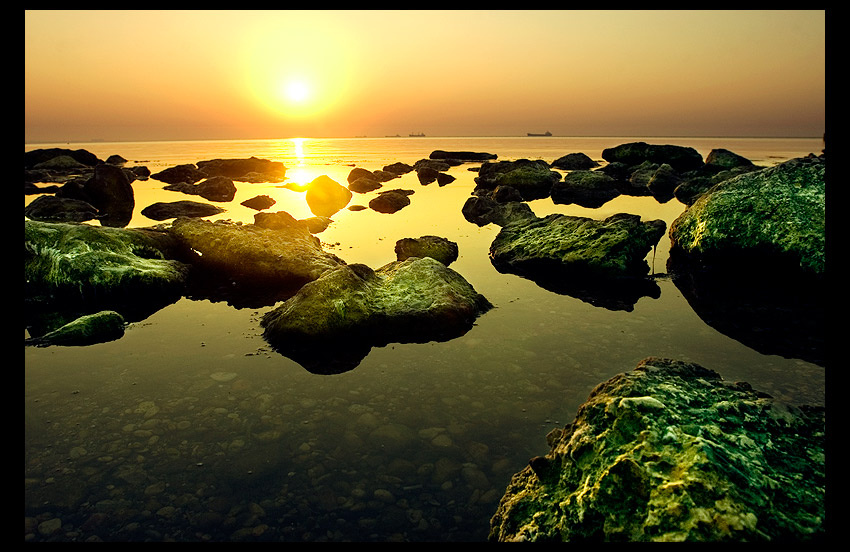 f. sun,,. 