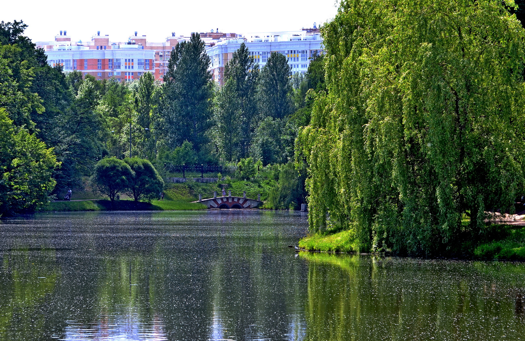 Лето в Царицыно 