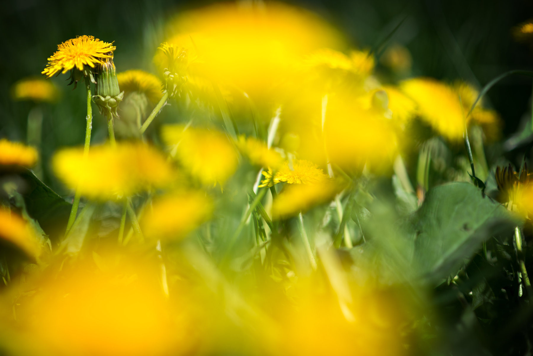  Tenderness 