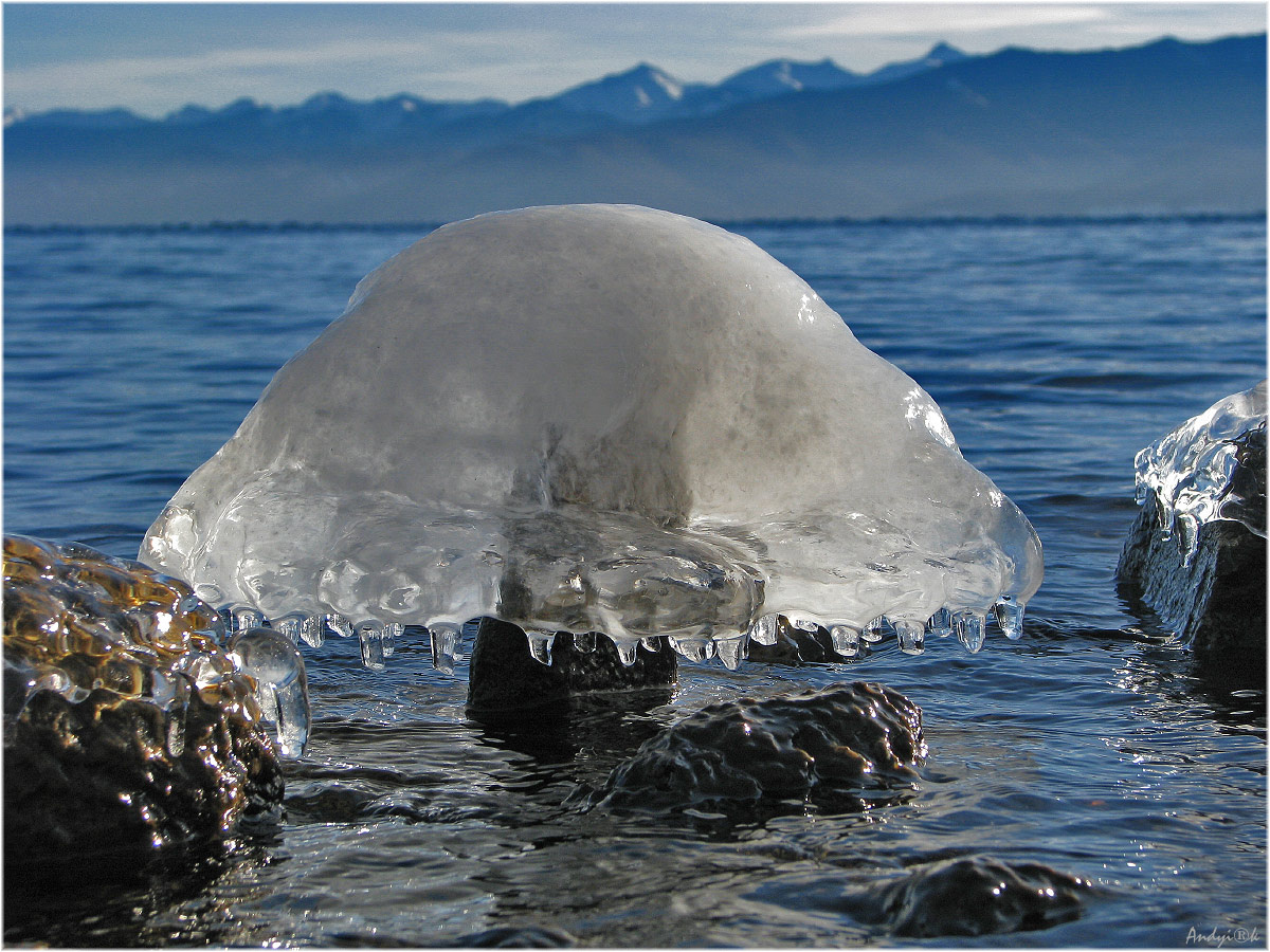 Байкальская медуза вода лёд зима