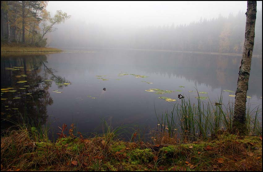 Осенниие планы 