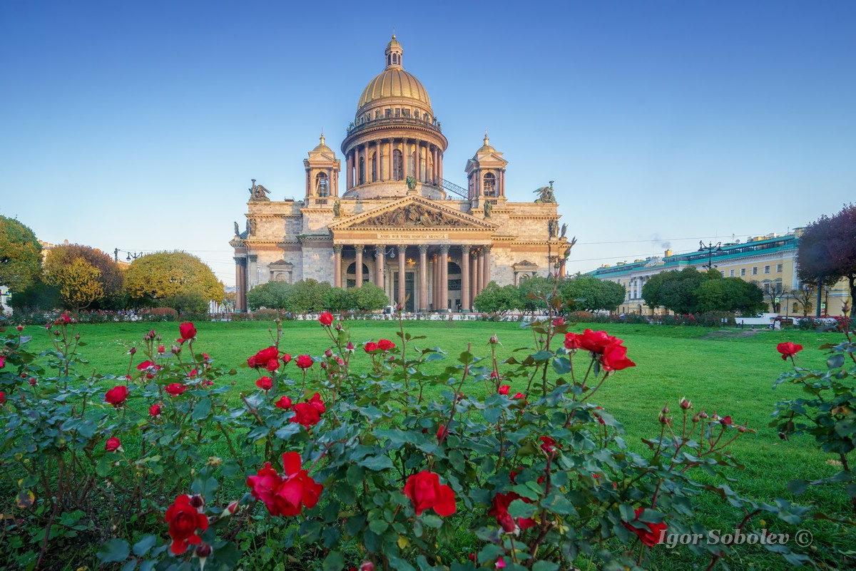 Исаакиевский собор с розами исаакиевский собор санкт-петербург утро розы