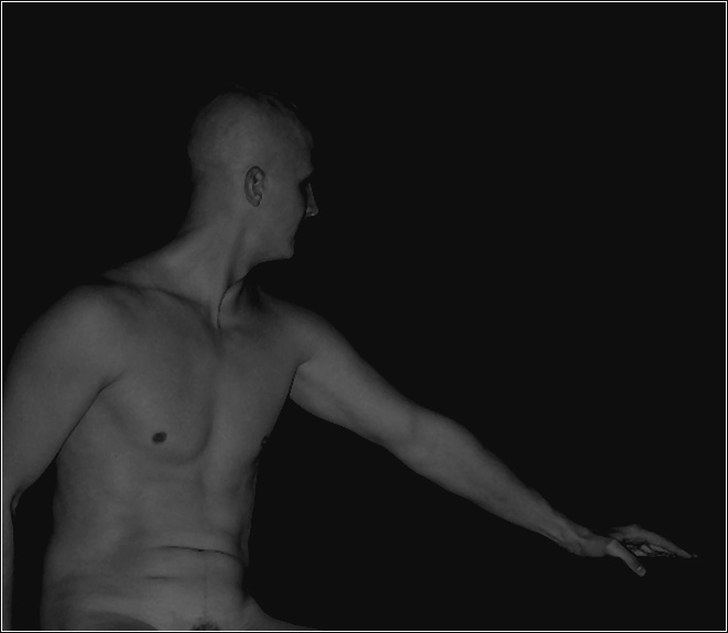 Sumerki II Sumerki man nude
