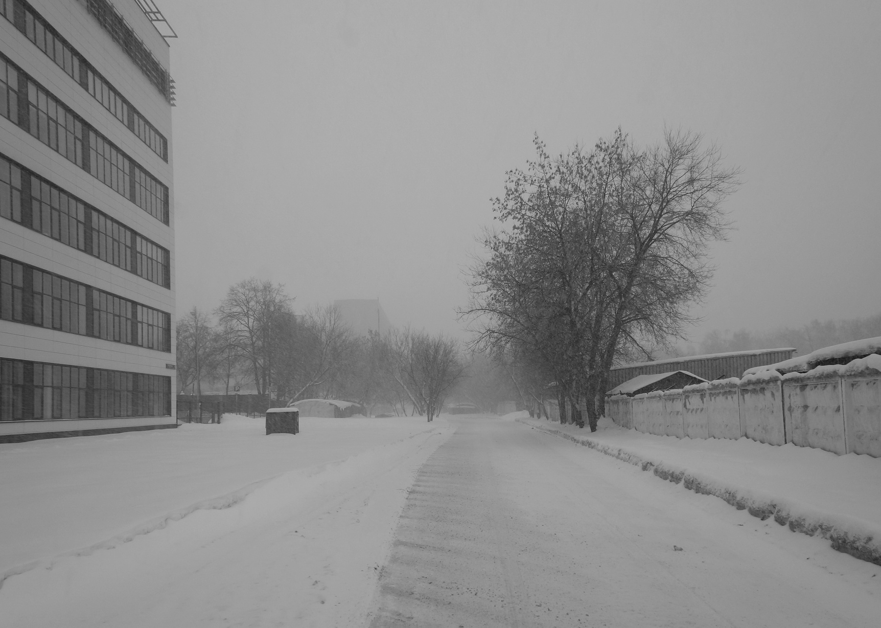 Городская метель 