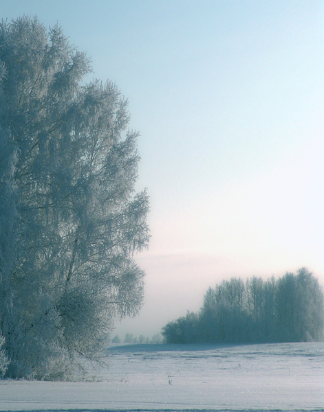 Зимний этюд зима природа мороз Сибирь