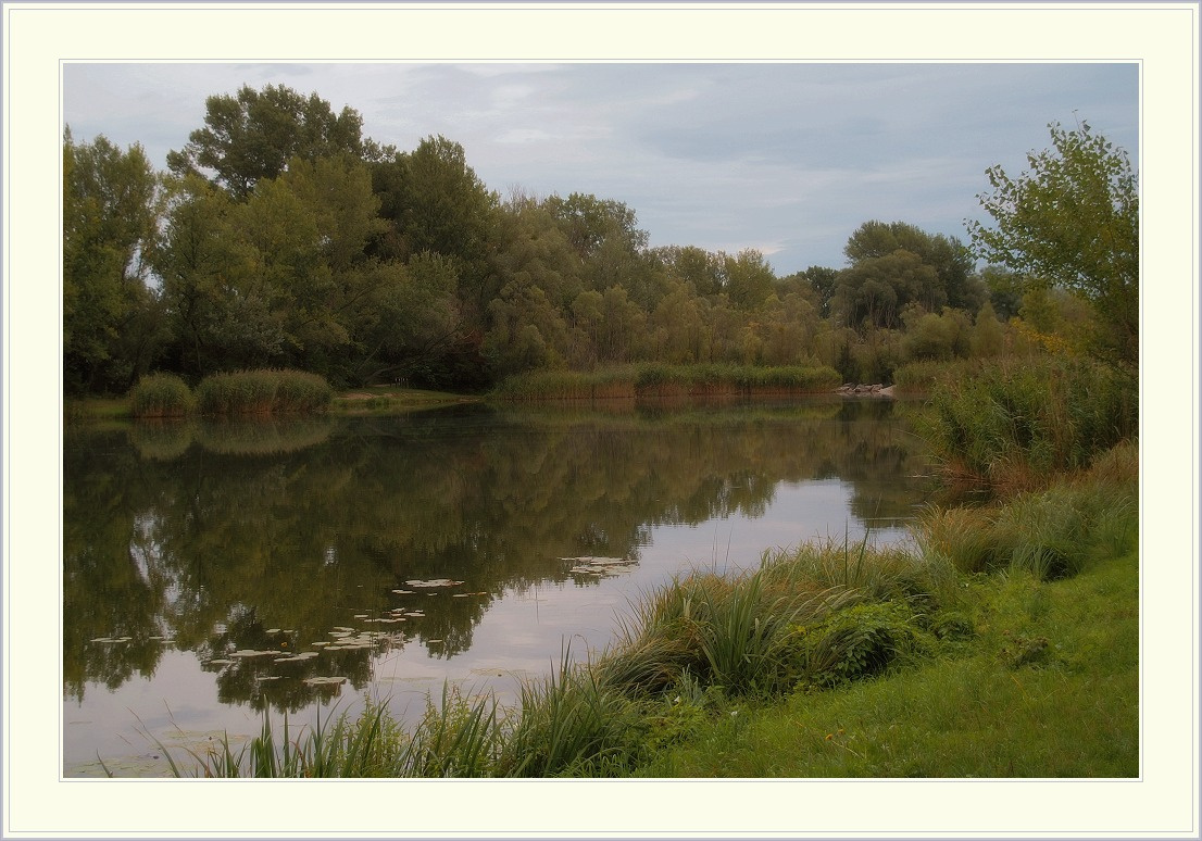 Бабье лето в парке Lobau пруд Лобау сентябрь бабье лето