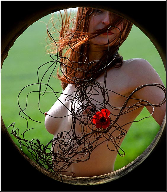 КВАДРАТУРА  КРУГА  Circle in a square (Nu)
